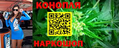прущие крисы Донской