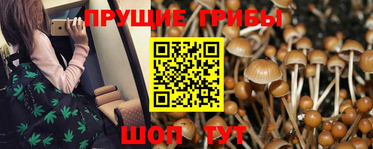 Галлюциногенные грибы Magic Shrooms  где купить наркоту  Нефтекумск  Вход с VPN 