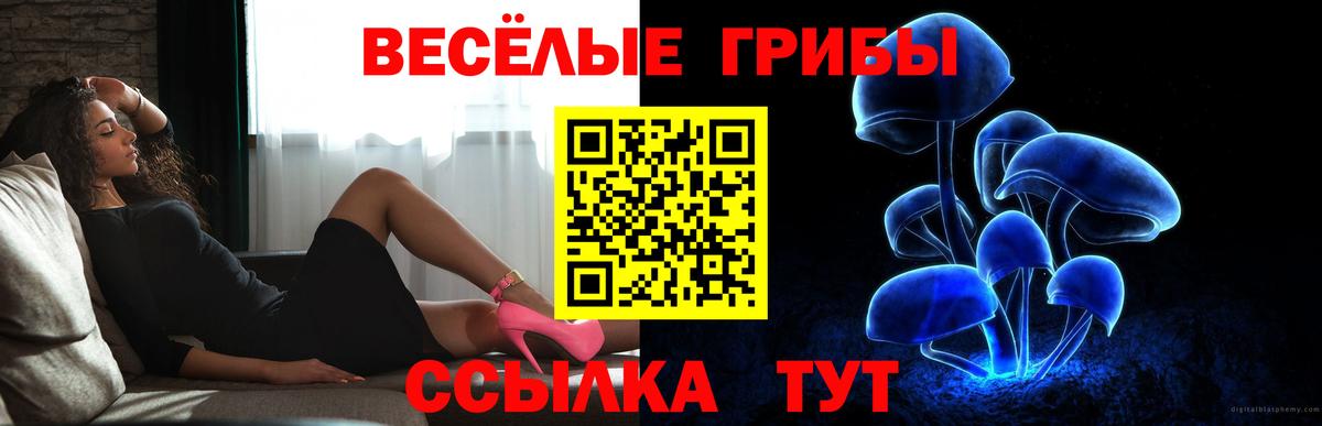 Псилоцибиновые грибы Cubensis Нефтекумск